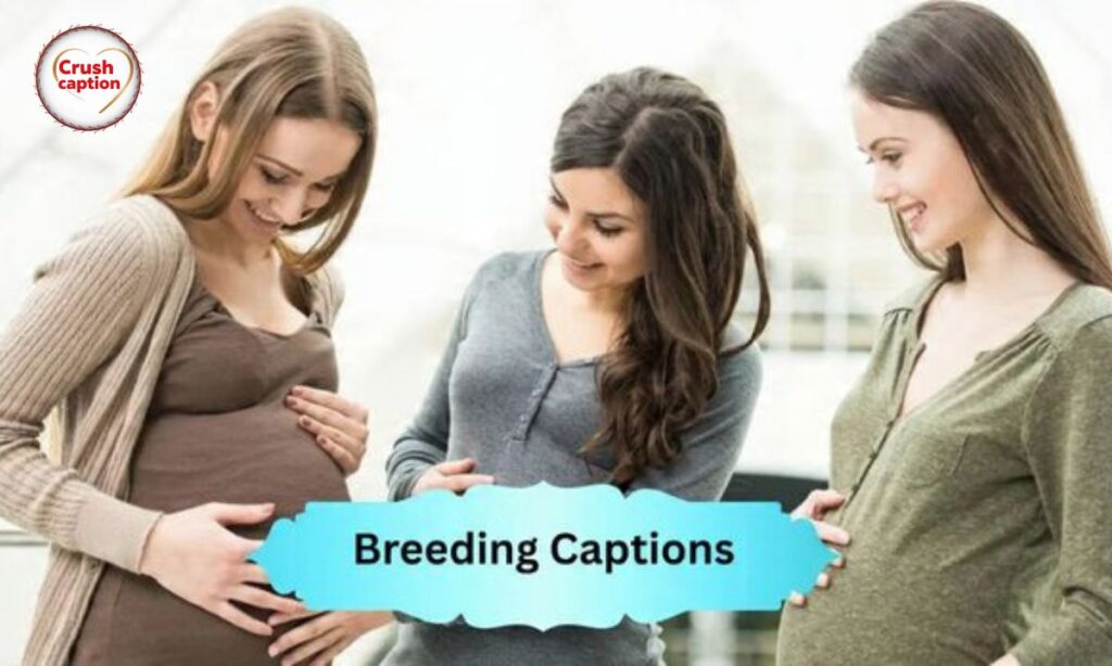 600+ Ultimate Breeding Captions for 2025 Bold, Fun & Ready to Share!