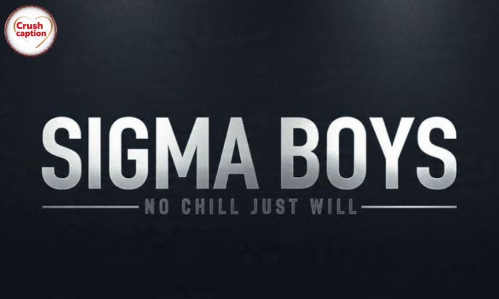 Instagram Bio for Sigma Boys