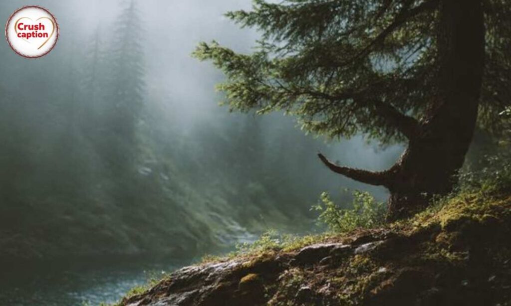 Nature Happy Captions