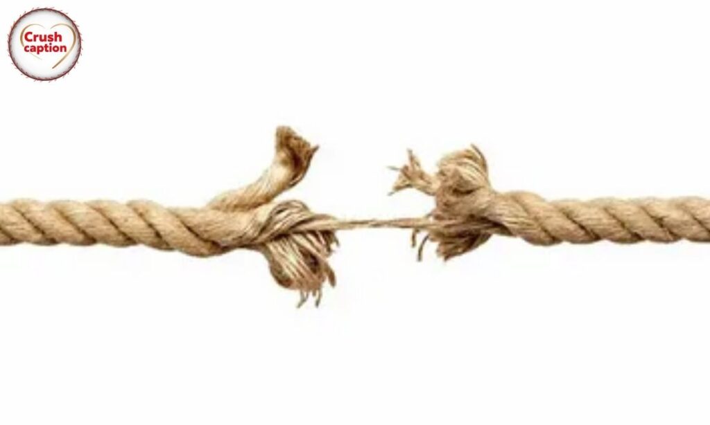 Spicy Rope Forecasts